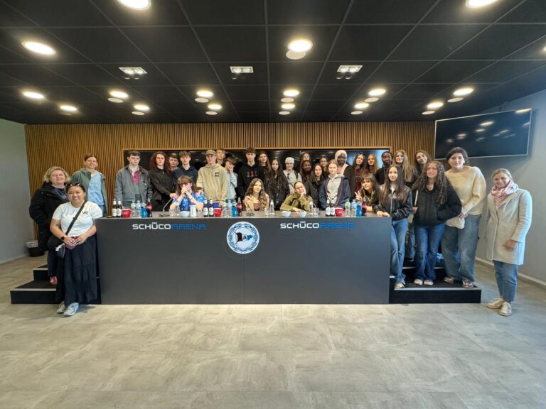 Irische Partnerschule an der Luise