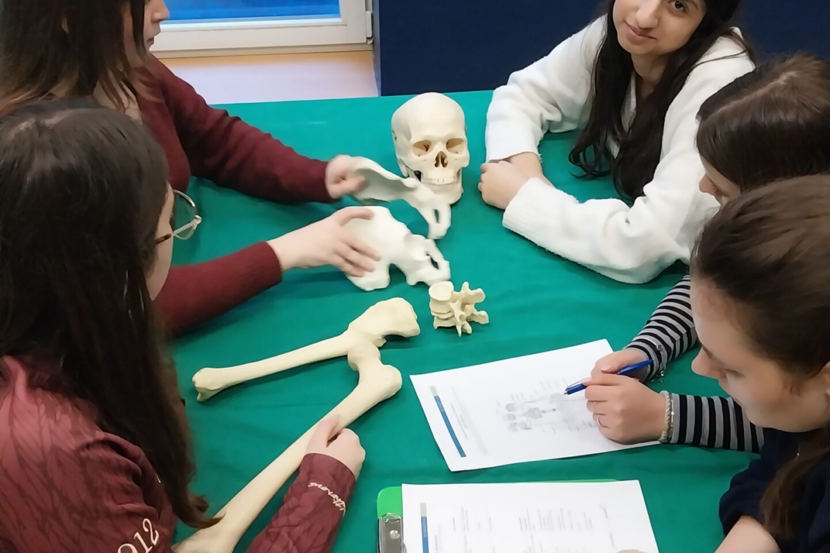 Exkursion ins Neanderthal Museum – Spuren des Neandertalers