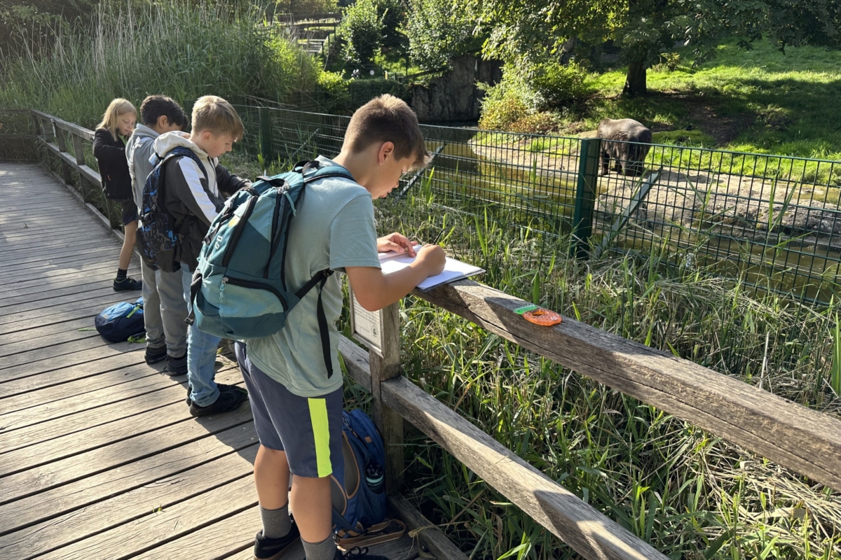 Tiere „in echt“ zeichnen im Tierpark Olderdissen